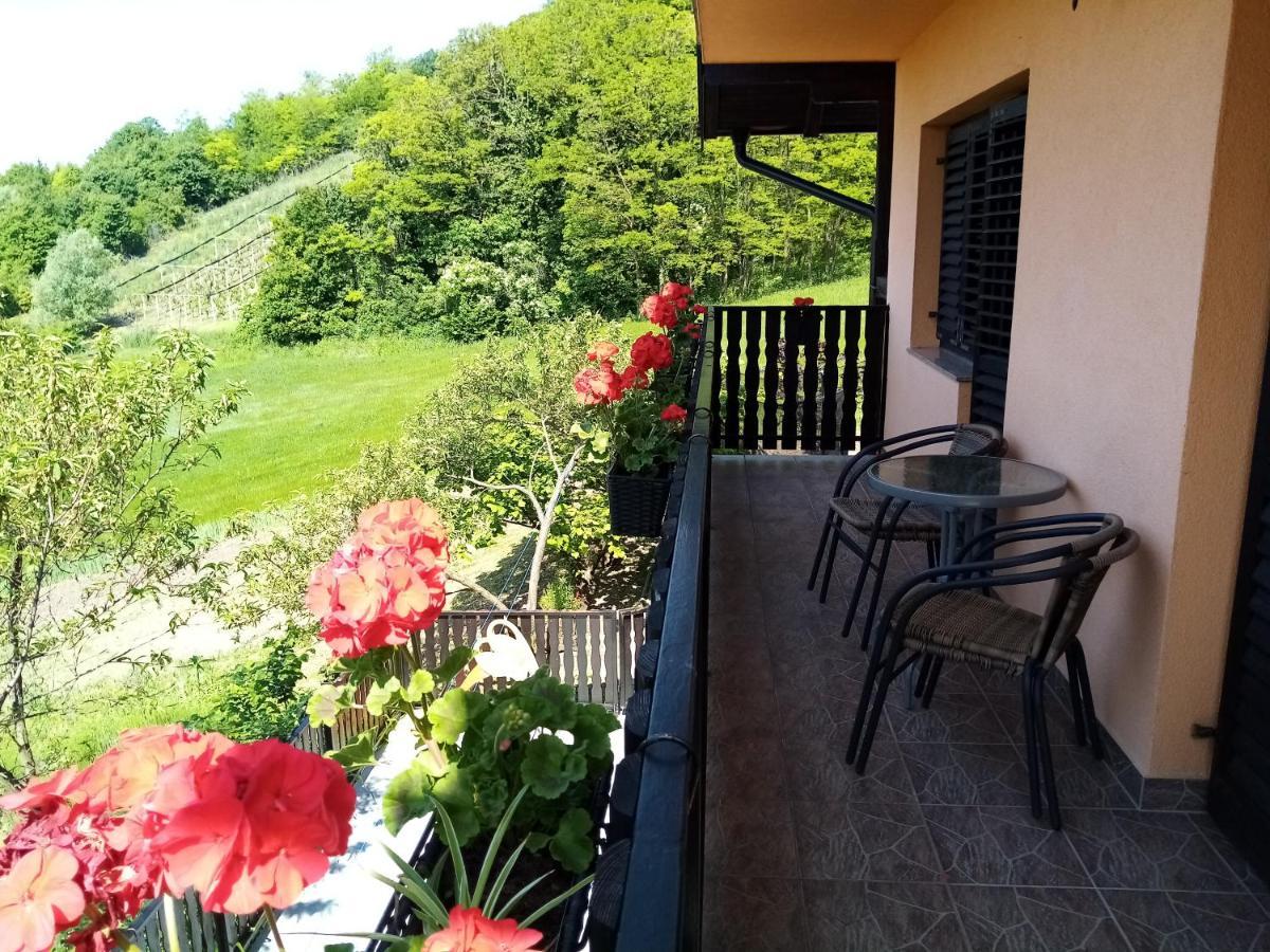 Apartman Potocki Krapina Esterno foto