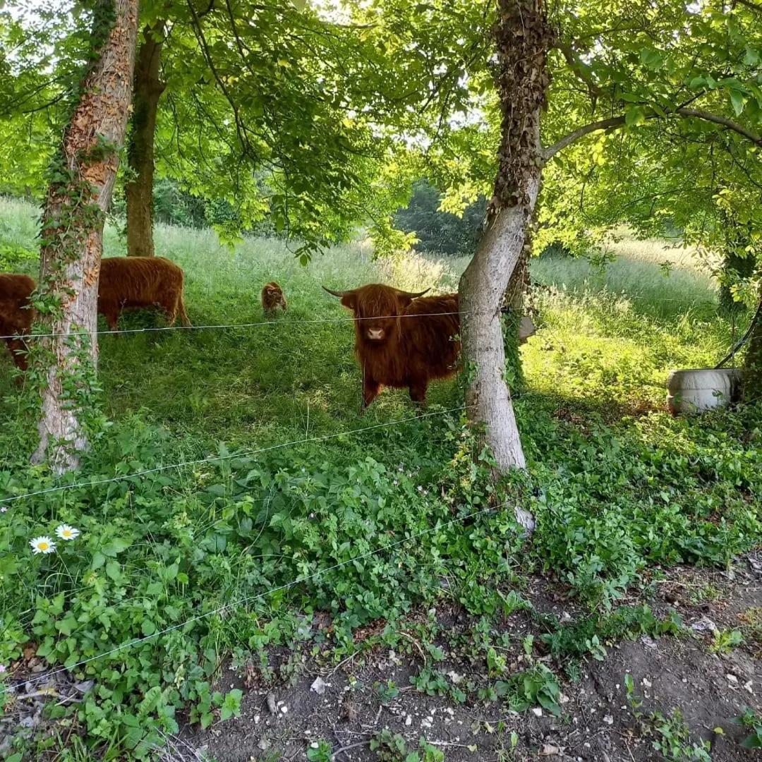 Apartman Potocki Krapina Esterno foto