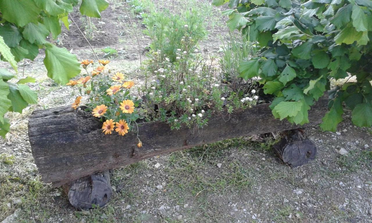 Apartman Potocki Krapina Esterno foto