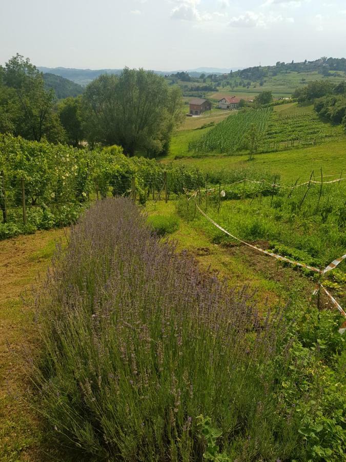 Apartman Potocki Krapina Esterno foto