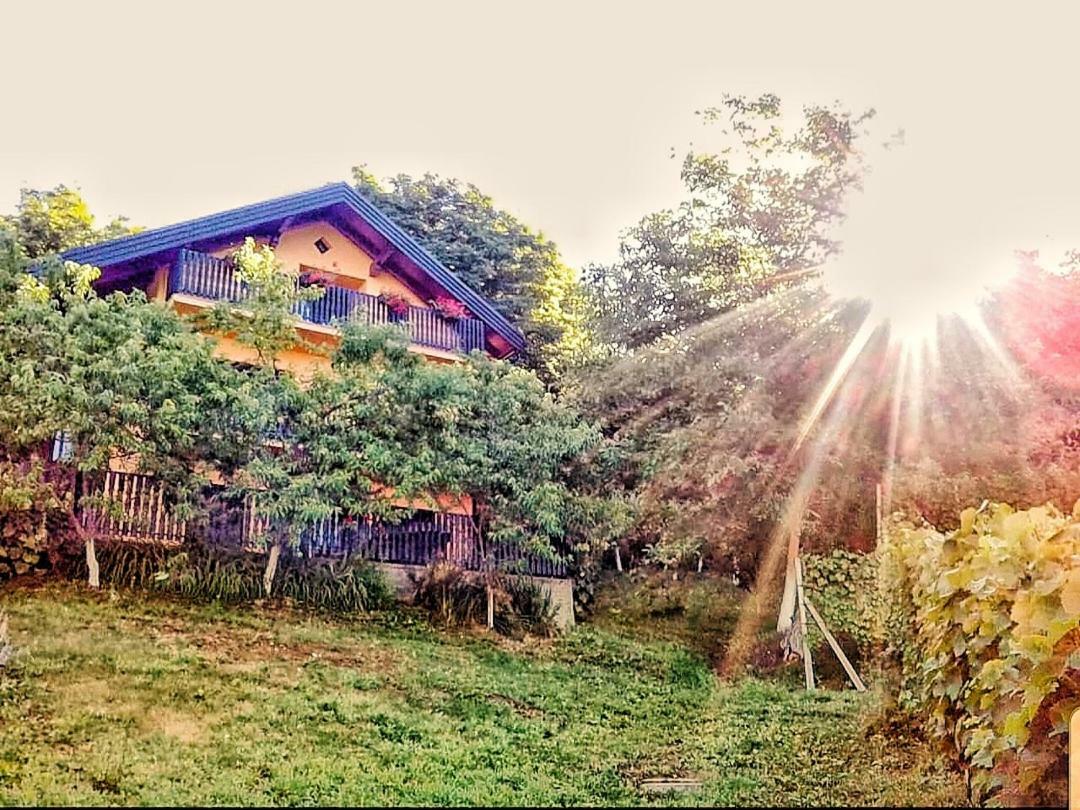 Apartman Potocki Krapina Esterno foto