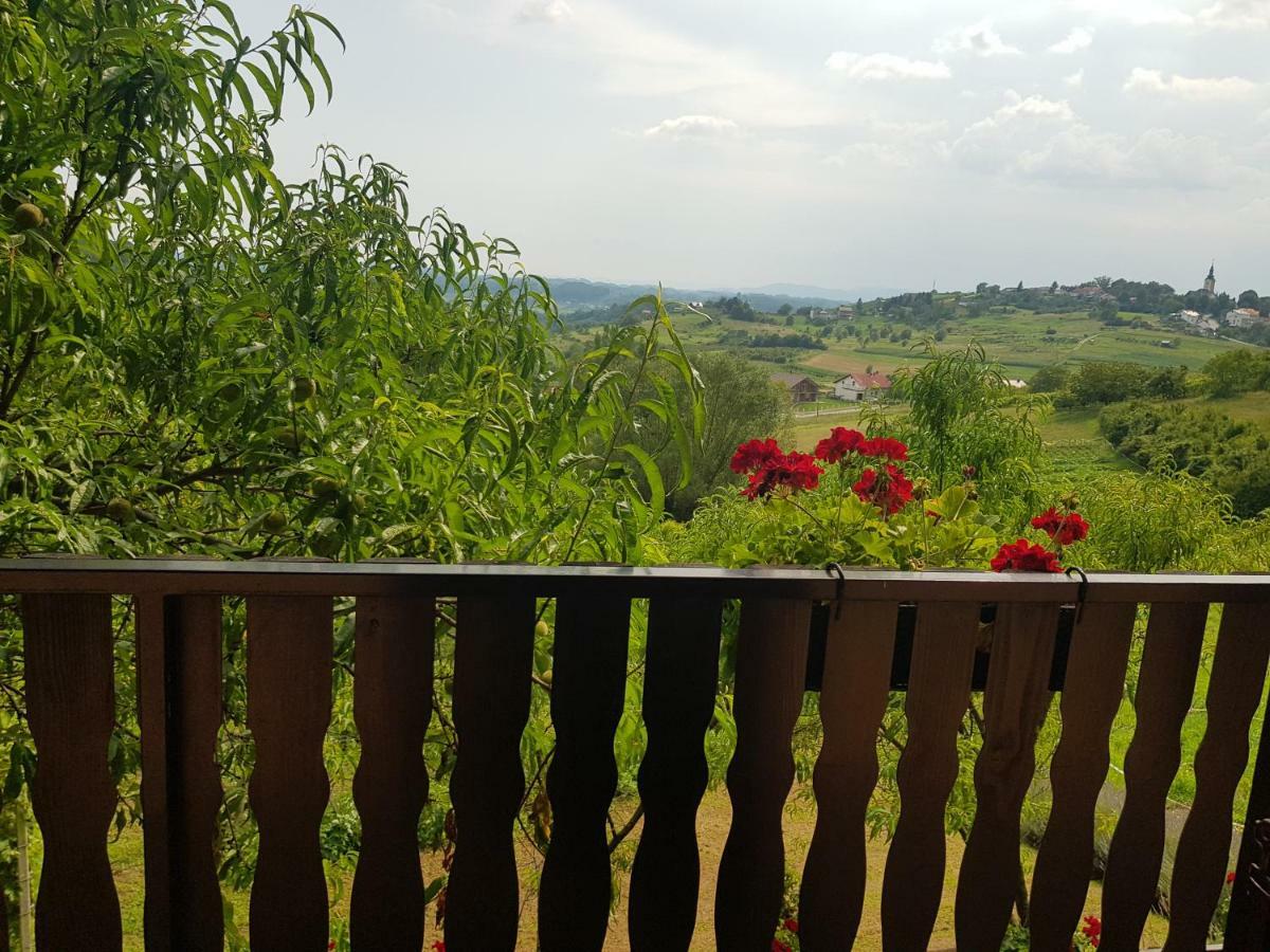 Apartman Potocki Krapina Esterno foto