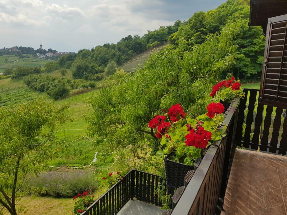Apartman Potocki Krapina Esterno foto
