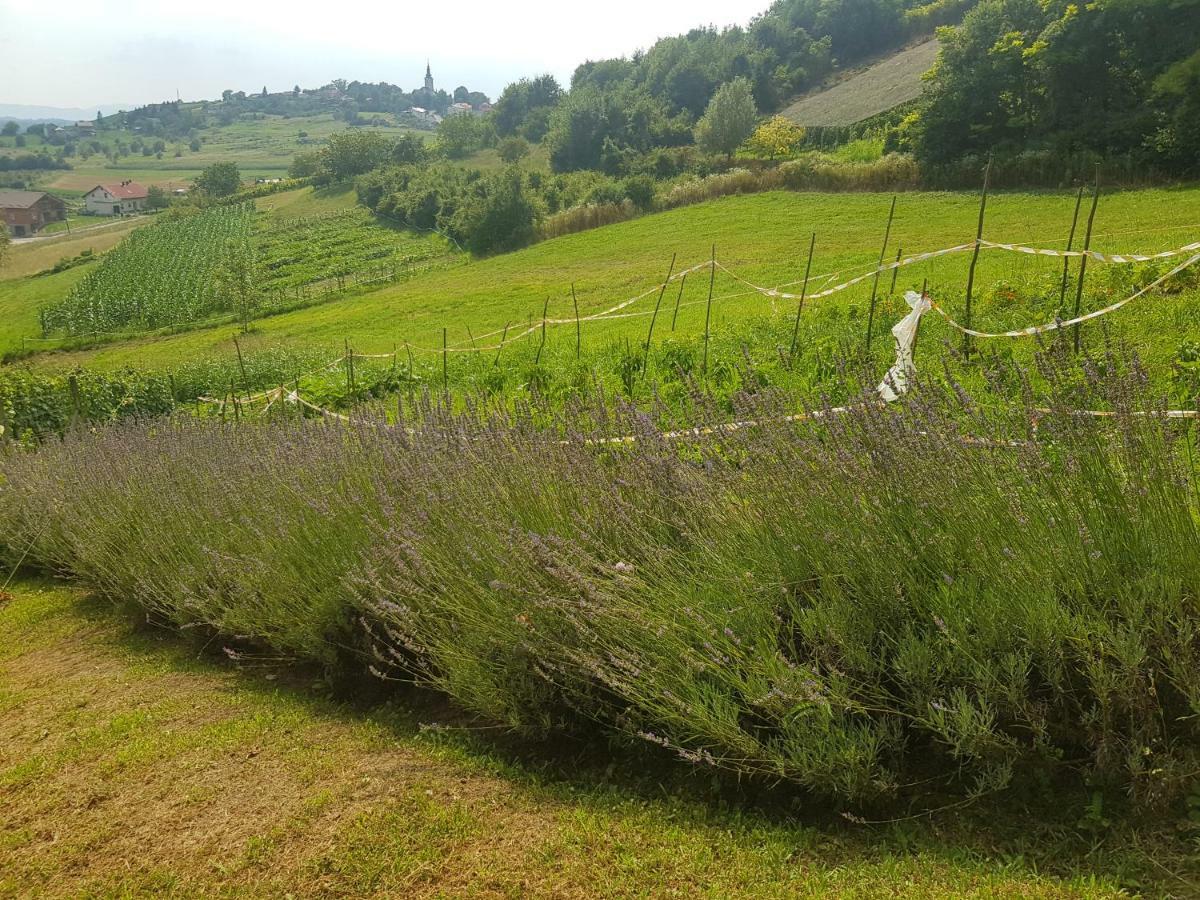 Apartman Potocki Krapina Esterno foto